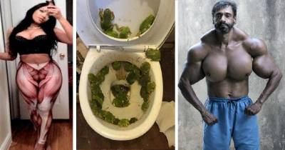 Weird Things You Just Don't See Every Day