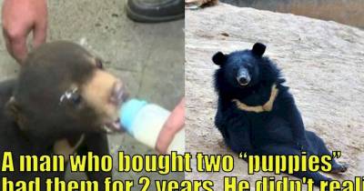 14 Facts That Don't Make Sense