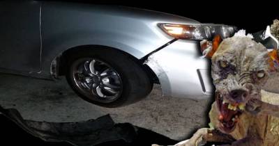 Imagine Returning To Your Car And Seeing This Madness