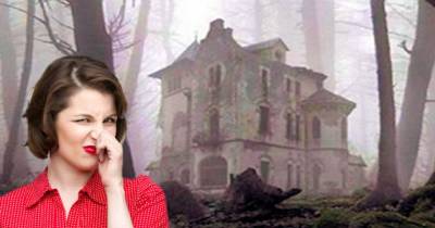 After An Ex-Wife Does This To Get Revenge, Even Exterminators Refused To Enter The House
