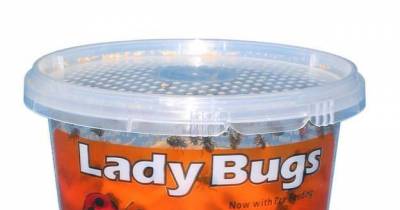 20 Creepy Gifts You Can Order On Amazon And Send To Your Mortal Enemies