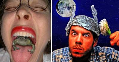 True Stories That Are Almost Too Crazy to Believe