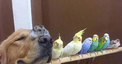 The Most Unlikely Friendship You&rsquo;ll Ever See