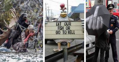 An Awesome Collection Of WTF Pictures Taken For Your Pleasure