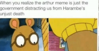16 Things The Internet Needs To Know About Meme Sensation 'Arthur'