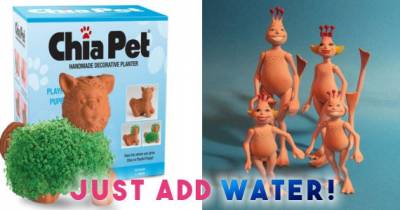 10 Incredible Things Made By Just Adding Water