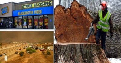 Some Of The Biggest Screw-Ups In History
