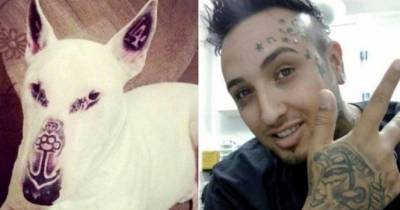 This Guy Tattooed His Dog And The Internet Is Not Having It
