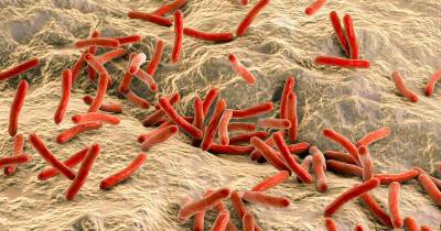 College Students In California Were Just Diagnosed With This Bible Era Disease