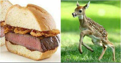First Check Your Sandwich Then Eat!