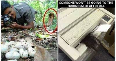 12 People Who Are Having The Worst Day Possible