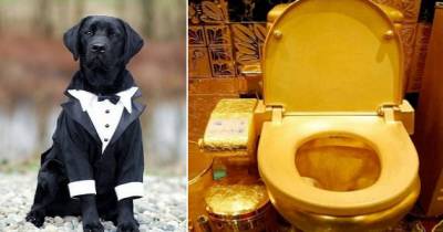 People Who Abused Their Money-Spending Privileges