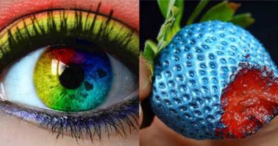 This is How Color Blind People See The World