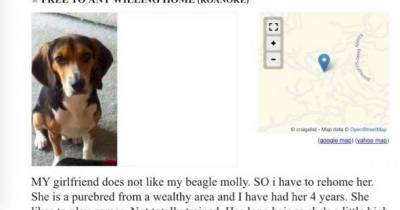 His Girlfriend Said He Had To Get Rid Of His Dog, So He Posted This Ad On Craigslist