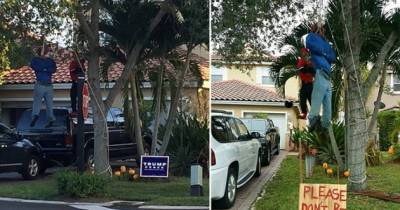A Trump Supporter Just Hung Two Black Dummies From A Tree In His Front Yard