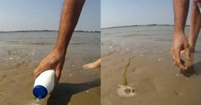 What Comes Out The Sand In This Video Will Give You Nightmares.