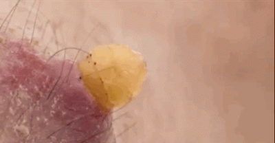 These GIFs Prove Science Is More Amazing Than Fiction