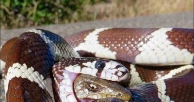 Insane Pictures Our World Spewed Out