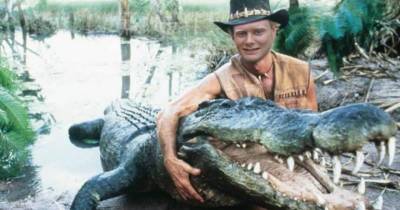 Guy Tries Getting Selfie With Crocodile And Immediately Regrets His Decision