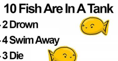 Everyone Failed To Solve This Riddle, Can You?