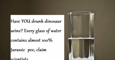 Weird Facts That Will 100 Percent Blow Your Mind