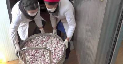You&rsquo;re Probably Eating Bleached Garlic From China. Here&rsquo;s How To Spot It.