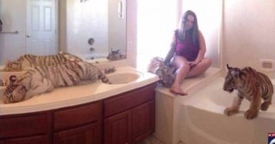 Mom Charged With Endangering Daughter After Letting Tigers Roam Free At Home