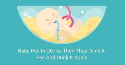 12 Weird Pregnancy Facts That You Probably Didn&rsquo;t Know