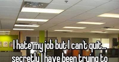 Employees Admit They Are Trying To Get Fired