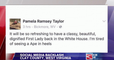 Official Fired For Calling First Lady Michelle Obama "An Ape In Heels"