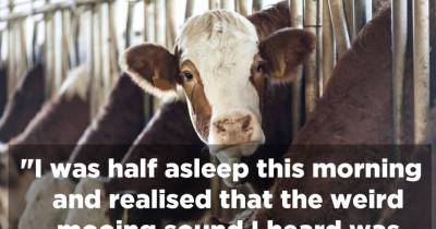 15 Of The Strangest Things People Have Actually Done In Their Sleep