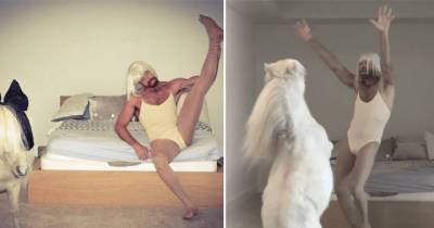 This Guy And His Pony Performed A Dance To Sia And We Can't Get Enough