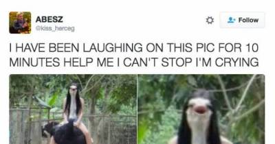 12 Tweets That Will Lift Your Mood To A Whole New Level
