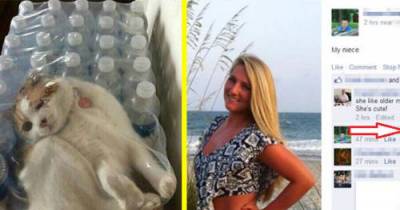15 Times Where "You F'ed Up" Doesn't Even Begin To Cut It