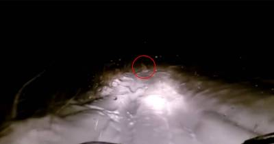 Another Alleged Yeti Sighting In Russia