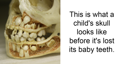 12 Amazing Facts That Will Change The Way You See The World