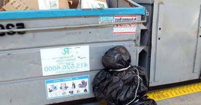 They Saw A Trash Bag Moving By A Dumpster. What They Found Inside Has Me In Tears