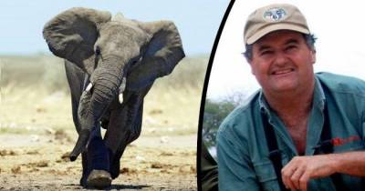 6 Real Life Examples Of What Goes Around Comes Around