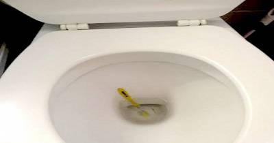11 Crazy Things People Have Flushed Down A Toilet