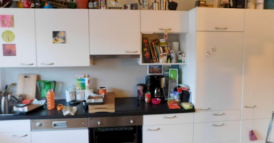 Try To Find The Cat In These Images