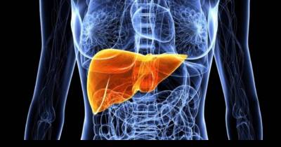 6 Clear Warning Signs Your Liver Is Full Of Toxins And Making You Fat