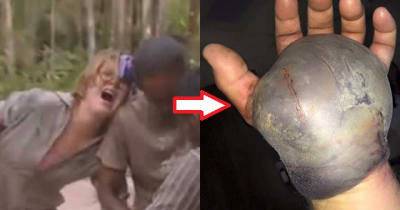 10 Terrifying Snake Attacks On Humans Caught Live On Camera