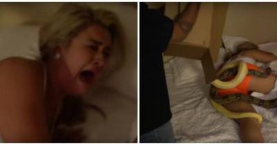 Girl Freaks Out After Boyfriend Throws Snakes At Her While She Sleeps
