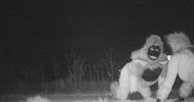 Police Set Up A Camera To Find A Mountain Lion, But They Weren&rsquo;t Prepared For What They Found Instead