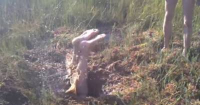 Three Boys Dive Into A Mystery Mud Hole And Seem To Disappear