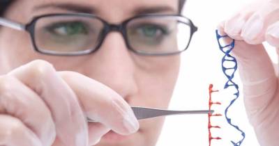New Fantastic Technologies That Will Make Us Immortal Someday