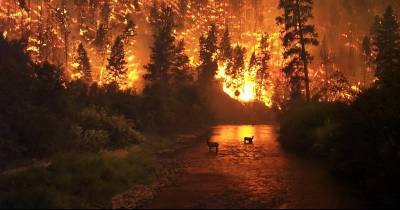 Families Displaced By The Tennessee Wild Fires Will Get Help For 6 Months.