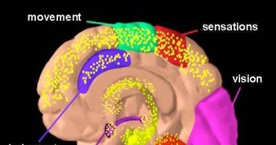 These Scientists Say Marijuana Is Benefiting Your Mental Health