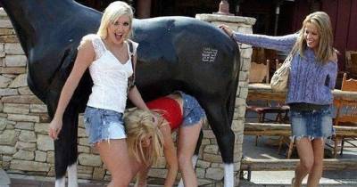 Wacky Pics To Make You Facepalm