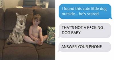 Wife Texts Husband She Brought A Dog Home While The Pic Shows A Coyote, And He Seriously Freaks Out
